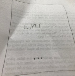Early CIAT app screen concept